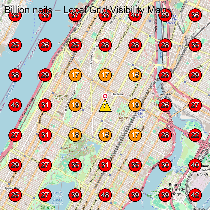 Billion nails GeoGrid visibility map for Nail Salon in New York